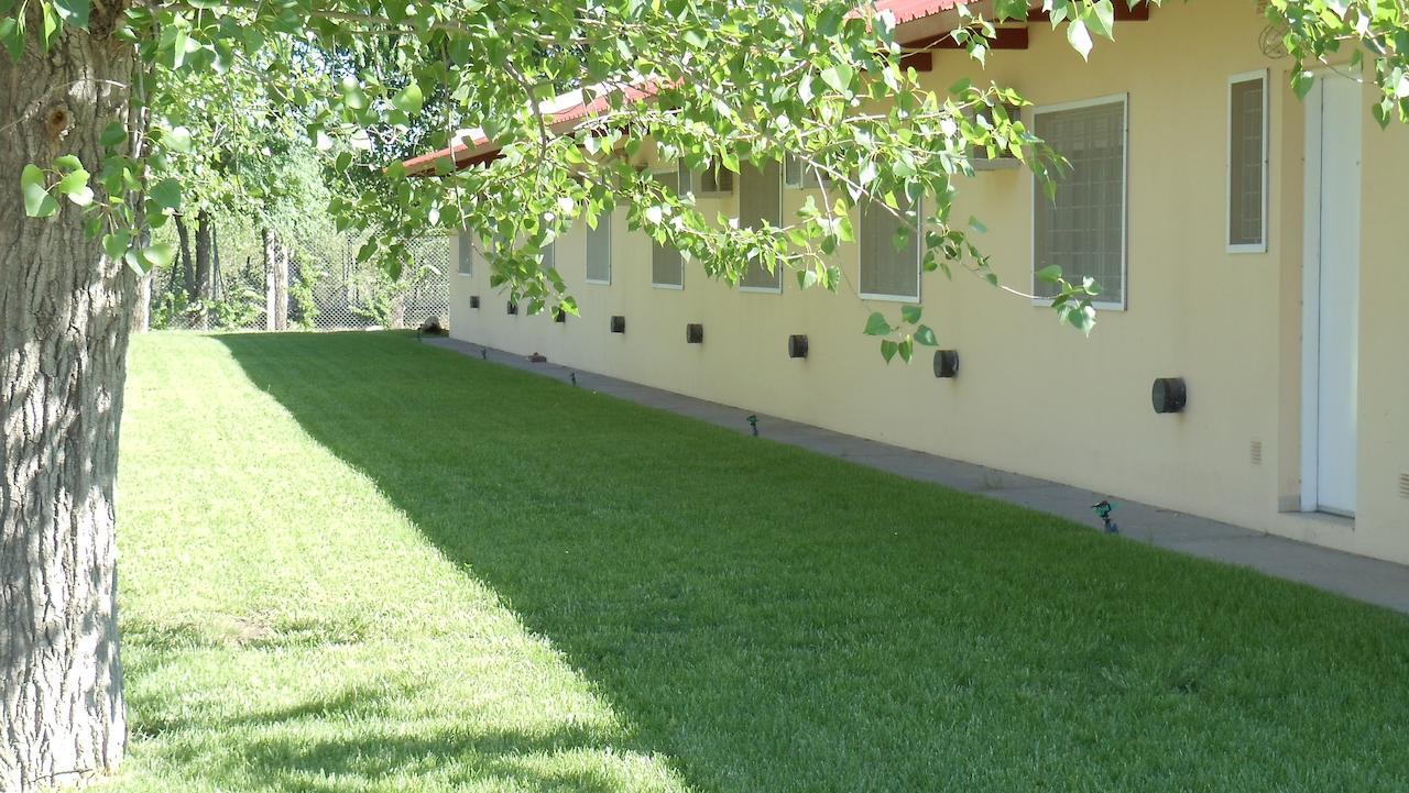 ريو كولورادو Hotel Quelu Leufu الغرفة الصورة